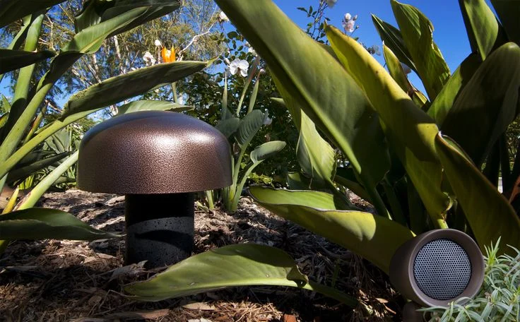 Outdoor Audio Systems Cape Coral FL 