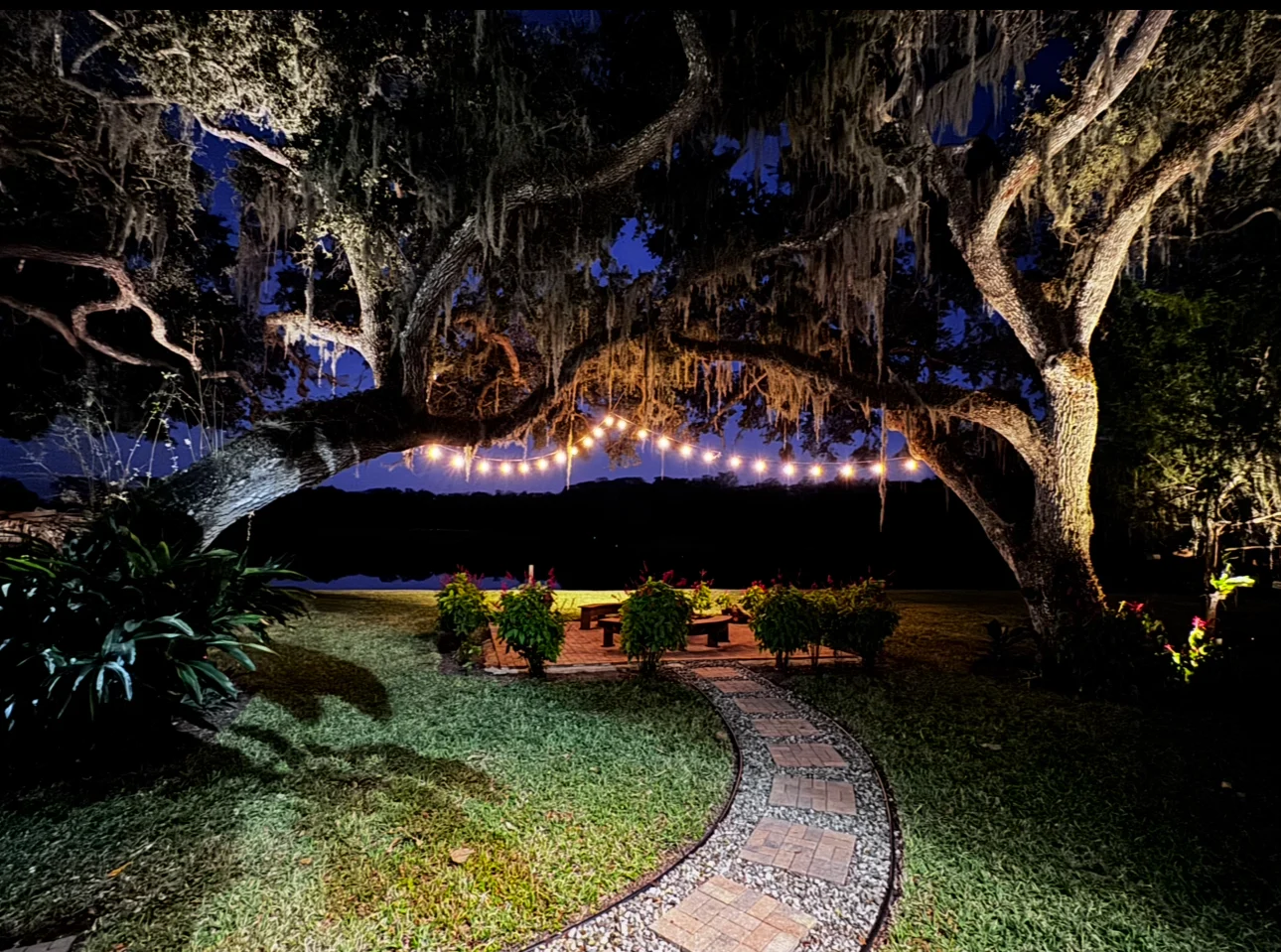Bistro String Light Collection Cape Coral