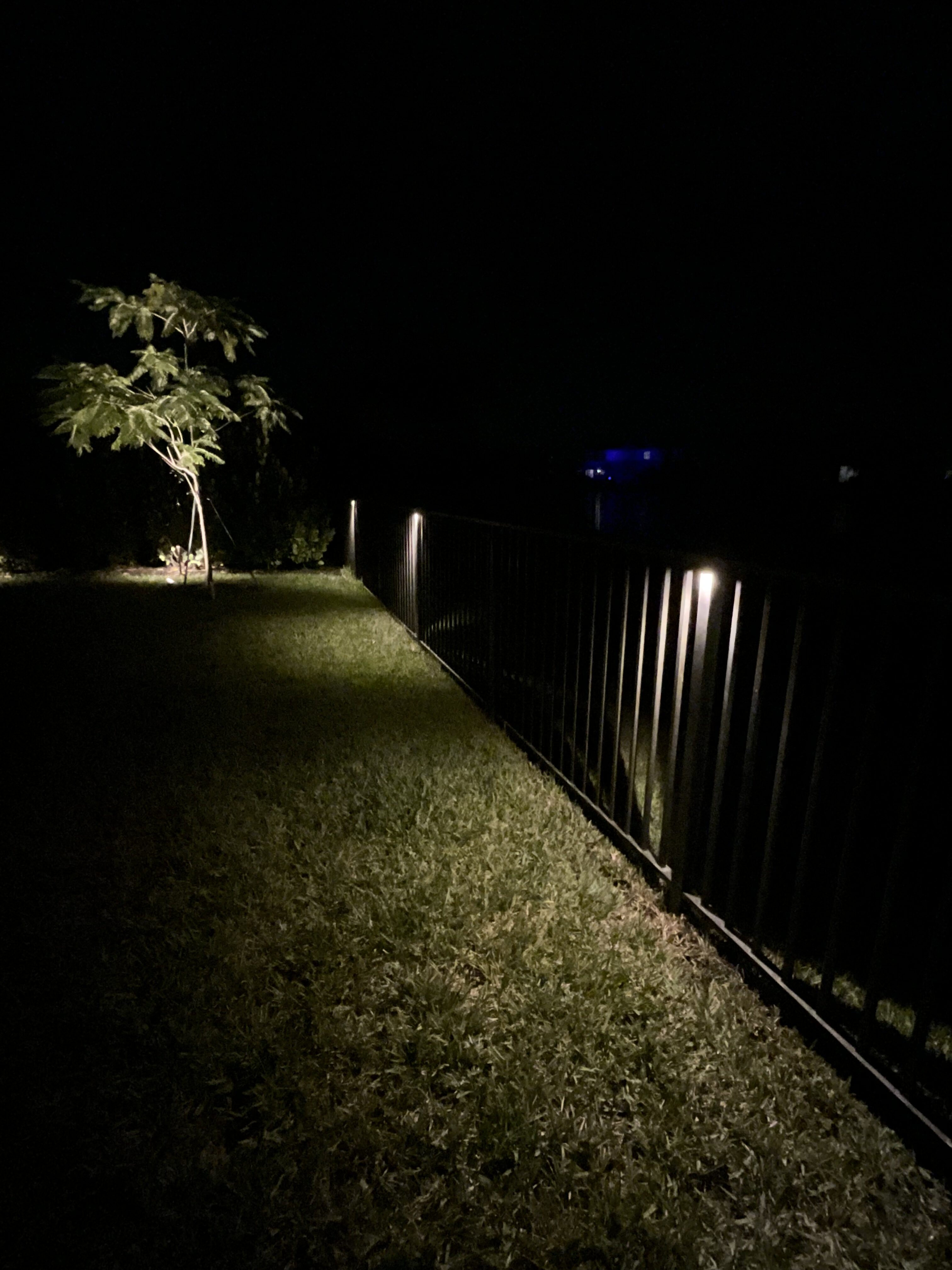 Estero FL Backyard Lighting Design