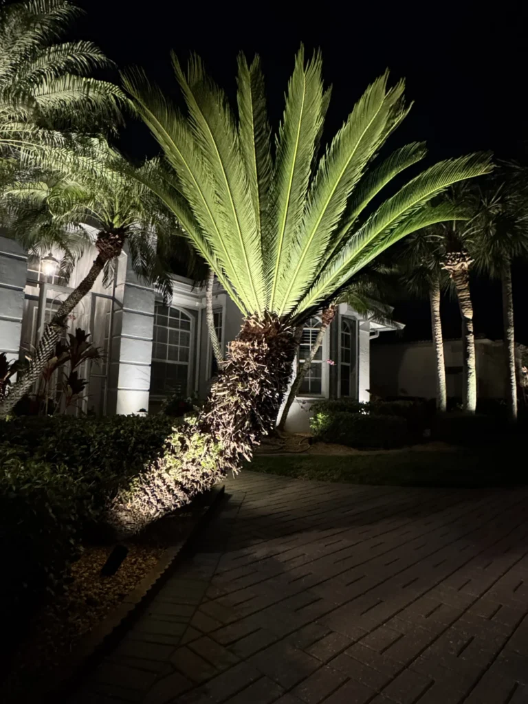Residential Landscape Lighting Design