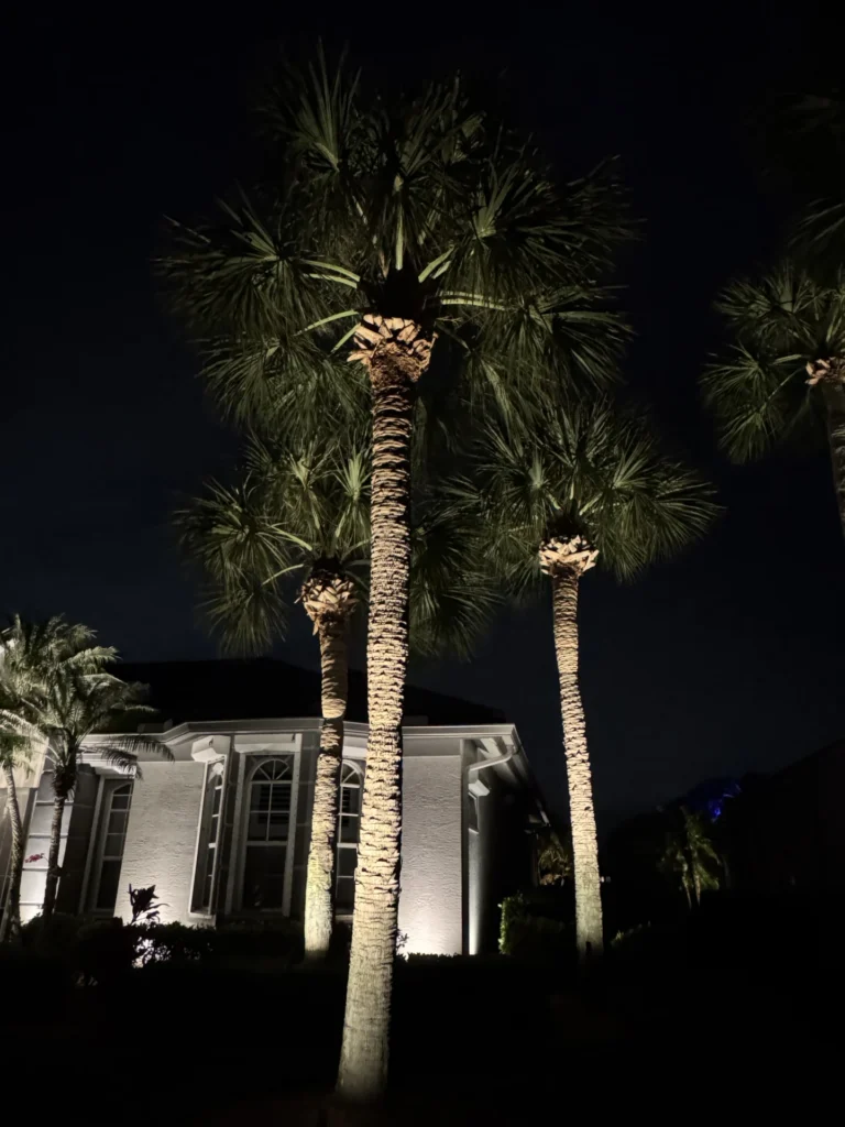 Residential Landscape Lighting Design